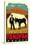 Tonopah, Nevada Decal-null-Stretched Canvas