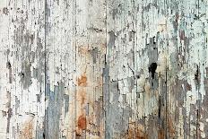 Old Wood Planks Background-Tony Baggett-Laminated Photographic Print