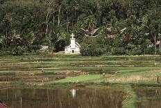 Indonesia, Bali, View of Field-Tony Berg-Stretched Canvas