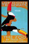 The London Zoo: South American Toucans-Tony Castle-Framed Stretched Canvas