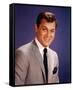 Tony Curtis-null-Framed Stretched Canvas