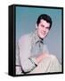 Tony Curtis-null-Framed Stretched Canvas