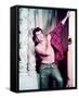 Tony Curtis-null-Framed Stretched Canvas