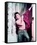 Tony Curtis-null-Framed Stretched Canvas