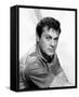 Tony Curtis-null-Framed Stretched Canvas