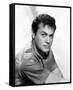 Tony Curtis-null-Framed Stretched Canvas