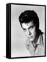 Tony Curtis-null-Framed Stretched Canvas