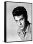 Tony Curtis-null-Framed Stretched Canvas