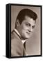 Tony Curtis-null-Framed Stretched Canvas