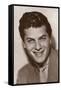 Tony Curtis-null-Framed Stretched Canvas