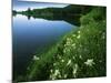 Tony Grove Lake, Uinta-Wasatch-Cache National Forest, Utah, USA-Charles Gurche-Mounted Photographic Print