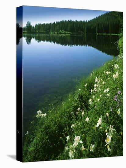 Tony Grove Lake, Uinta-Wasatch-Cache National Forest, Utah, USA-Charles Gurche-Stretched Canvas