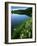 Tony Grove Lake, Uinta-Wasatch-Cache National Forest, Utah, USA-Charles Gurche-Framed Photographic Print