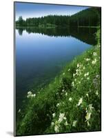 Tony Grove Lake, Uinta-Wasatch-Cache National Forest, Utah, USA-Charles Gurche-Mounted Photographic Print