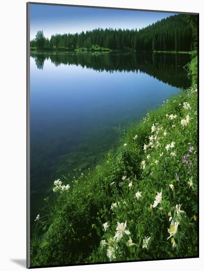 Tony Grove Lake, Uinta-Wasatch-Cache National Forest, Utah, USA-Charles Gurche-Mounted Photographic Print
