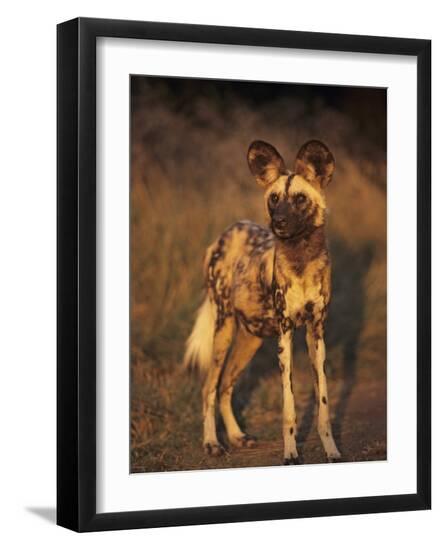 Photographic Print, , large