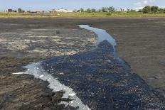 La Brea Pitch Lake-Tony-Photographic Print