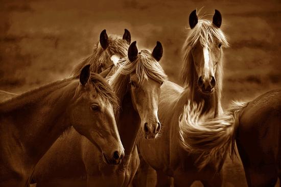 Photographic Print, , large