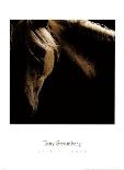 Fierce Grace-Tony Stromberg-Stretched Canvas