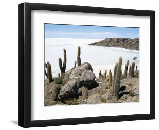 Premium Photographic Print, , large