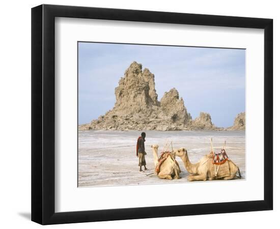 Premium Photographic Print, , large