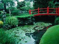 Bridge and Pond of Japanese Style Garden, Kildare, Ireland-Tony Wheeler-Framed Stretched Canvas