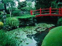 Bridge and Pond of Japanese Style Garden, Kildare, Ireland-Tony Wheeler-Framed Photographic Print