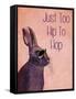 Too Hip to Hop Pink-Fab Funky-Framed Stretched Canvas