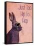 Too Hip to Hop Pink-Fab Funky-Framed Stretched Canvas