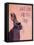 Too Hip to Hop Pink-Fab Funky-Framed Stretched Canvas