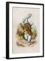 Too Late Said the Rabbit, 1930-John Tenniel-Framed Giclee Print