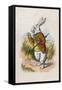 Too Late Said the Rabbit, 1930-John Tenniel-Framed Stretched Canvas