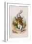 Too Late Said the Rabbit, 1930-John Tenniel-Framed Giclee Print