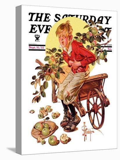 "Too Many Green Apples," Saturday Evening Post Cover, September 16, 1933-Joseph Christian Leyendecker-Stretched Canvas