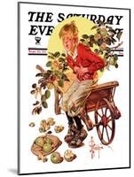 "Too Many Green Apples," Saturday Evening Post Cover, September 16, 1933-Joseph Christian Leyendecker-Mounted Giclee Print