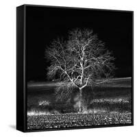 Too Zen-Philippe Sainte-Laudy-Framed Stretched Canvas