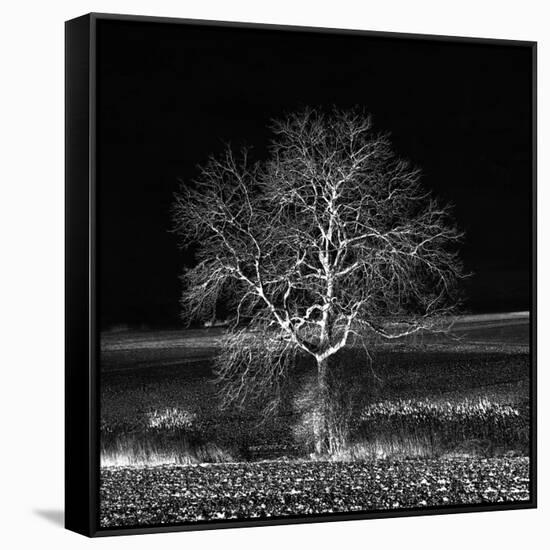 Too Zen-Philippe Sainte-Laudy-Framed Stretched Canvas