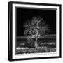 Too Zen-Philippe Sainte-Laudy-Framed Premium Photographic Print