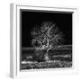 Too Zen-Philippe Sainte-Laudy-Framed Premium Photographic Print