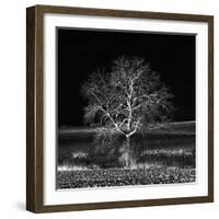 Too Zen-Philippe Sainte-Laudy-Framed Photographic Print