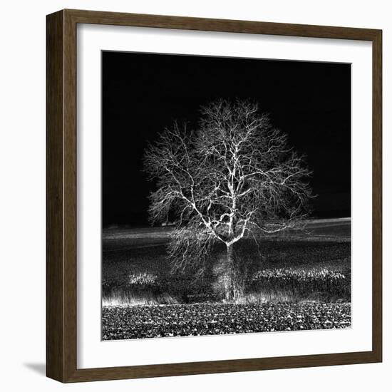 Too Zen-Philippe Sainte-Laudy-Framed Photographic Print