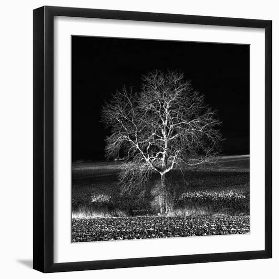 Too Zen-Philippe Sainte-Laudy-Framed Photographic Print