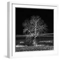 Too Zen-Philippe Sainte-Laudy-Framed Photographic Print