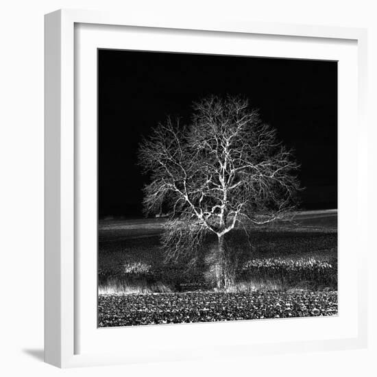 Too Zen-Philippe Sainte-Laudy-Framed Photographic Print