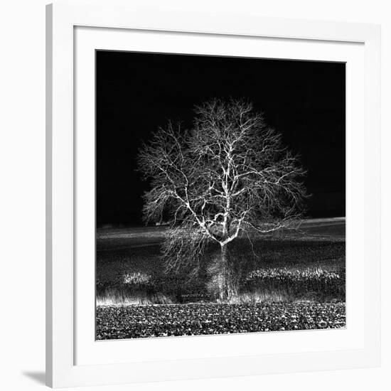 Too Zen-Philippe Sainte-Laudy-Framed Photographic Print