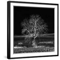 Too Zen-Philippe Sainte-Laudy-Framed Photographic Print