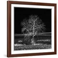 Too Zen-Philippe Sainte-Laudy-Framed Photographic Print