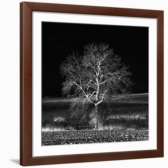 Too Zen-Philippe Sainte-Laudy-Framed Photographic Print