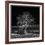 Too Zen-Philippe Sainte-Laudy-Framed Photographic Print