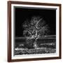 Too Zen-Philippe Sainte-Laudy-Framed Photographic Print